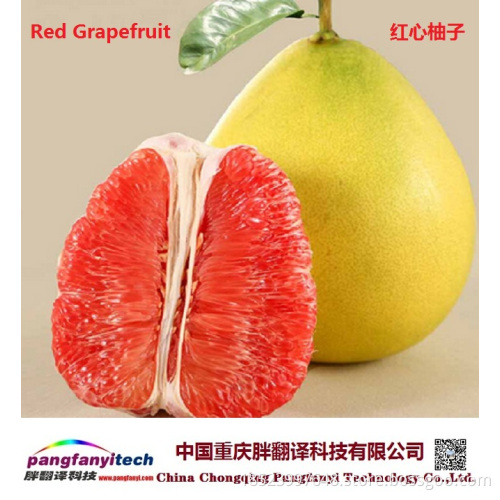 Fresh Nutritional Self-produced Tasty Aromatic Grapefruit